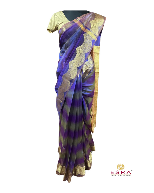 Esra's Handloom/Handwoven Banarasi Semi-Tissue Saree.